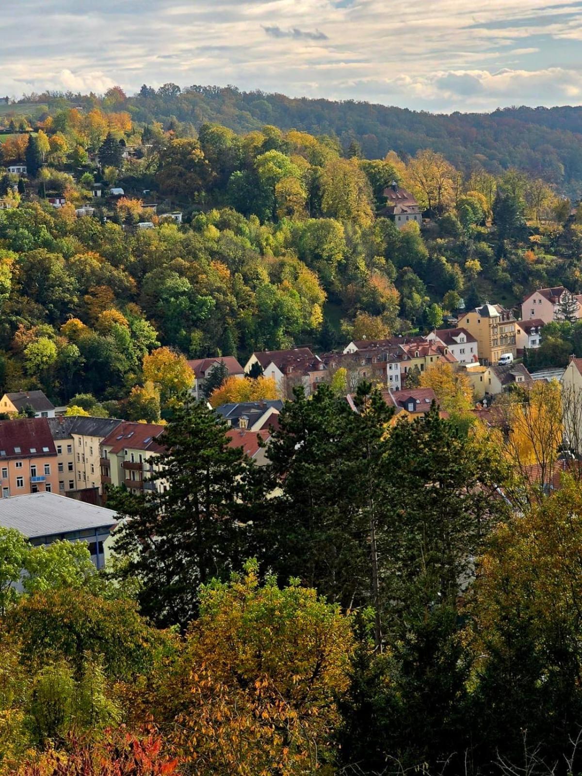 Cozy Pet-Friendly Apartment Meißen Exterior foto