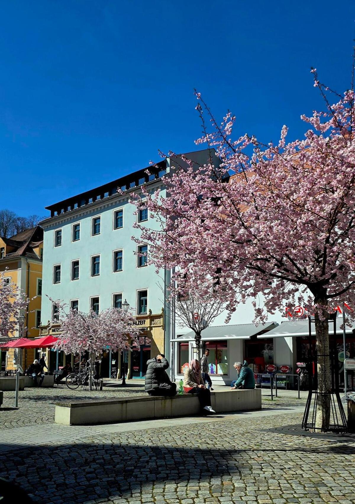 Cozy Pet-Friendly Apartment Meißen Exterior foto
